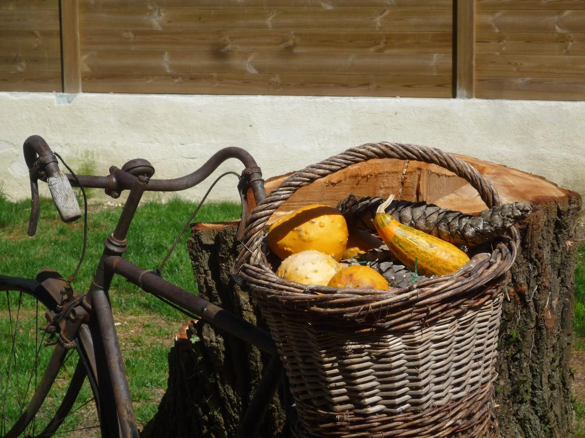 Le Relais Du Grand Logis Bed & Breakfast Civrieux Bagian luar foto