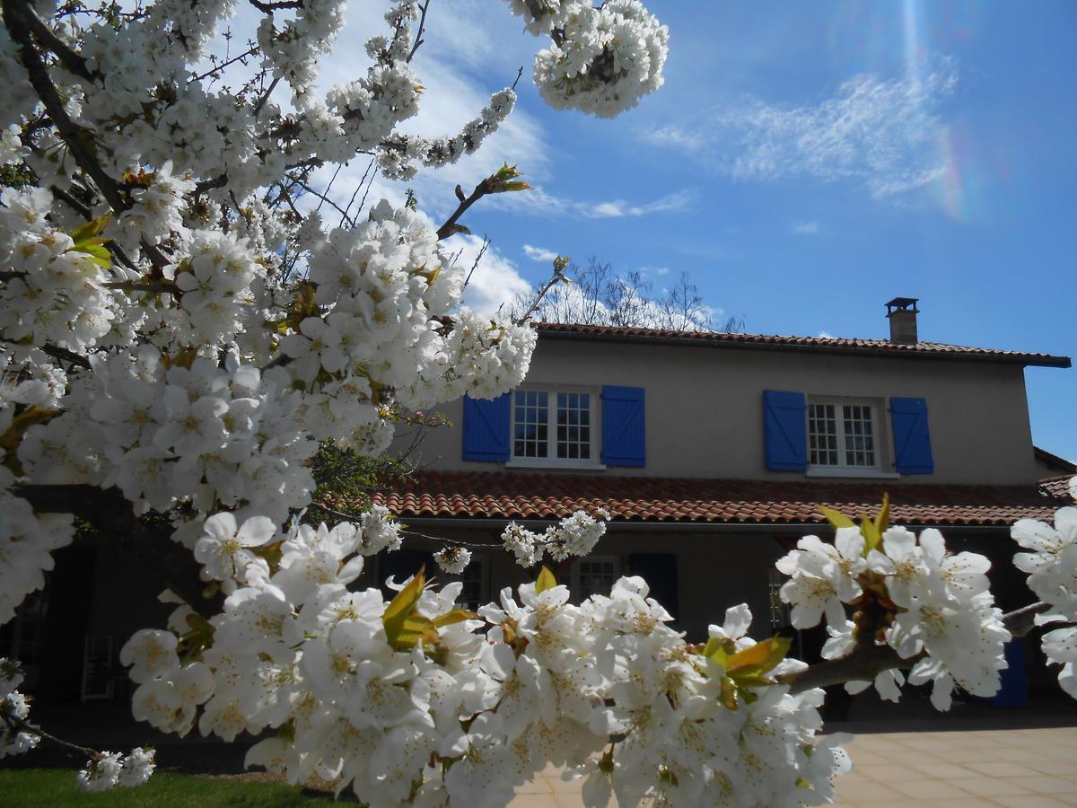 Le Relais Du Grand Logis Bed & Breakfast Civrieux Bagian luar foto